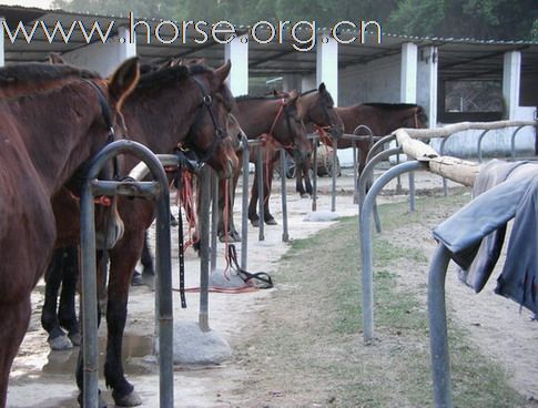 深圳 西麗湖騎馬俱樂部