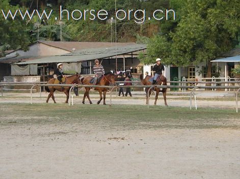 深圳 西麗湖騎馬俱樂部