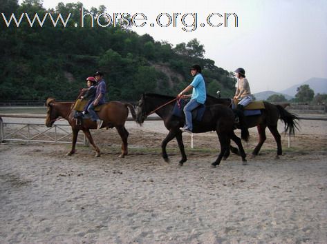 深圳 西麗湖騎馬俱樂部