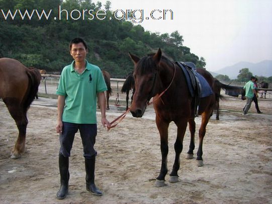 深圳 西麗湖騎馬俱樂部