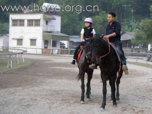 深圳 西麗湖騎馬俱樂部