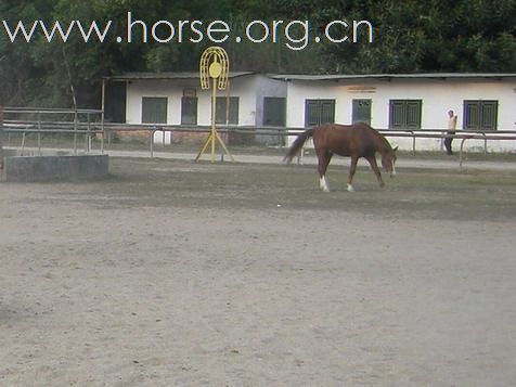 深圳 西麗湖騎馬俱樂部