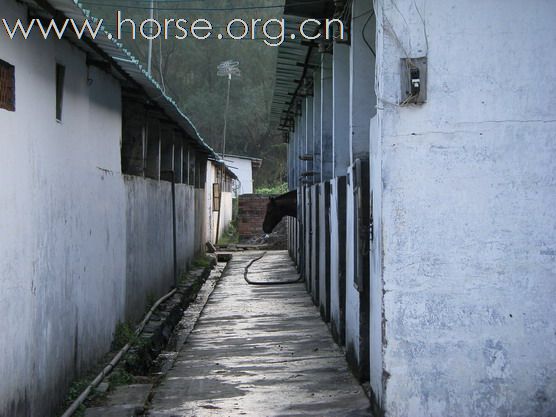 深圳 西麗湖騎馬俱樂部