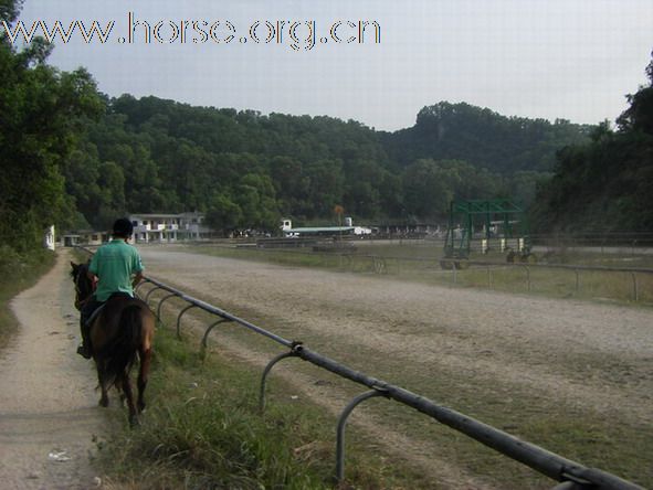 深圳 西麗湖騎馬俱樂部