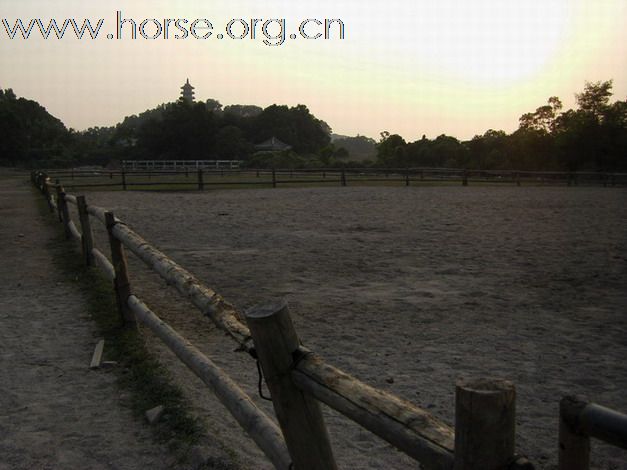 深圳 西麗湖騎馬俱樂部