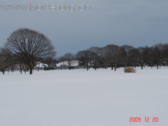 大雪