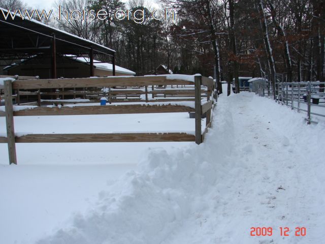 大雪