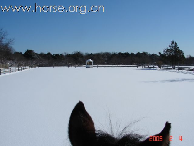 雪地涂鸦