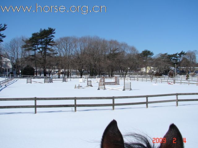 雪地涂鸦