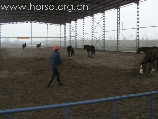 南通贵豪马术俱乐部首次会员联谊活动圆满结束