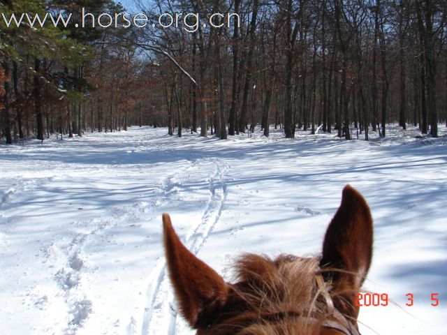 踏雪马蹄轻