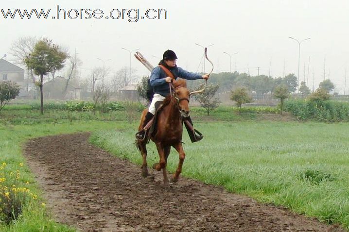 [贴图]春暖花开之骑射PP