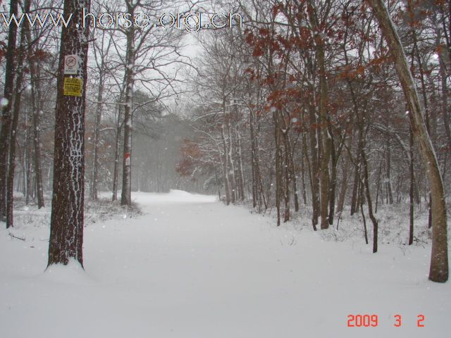 踏雪马蹄轻