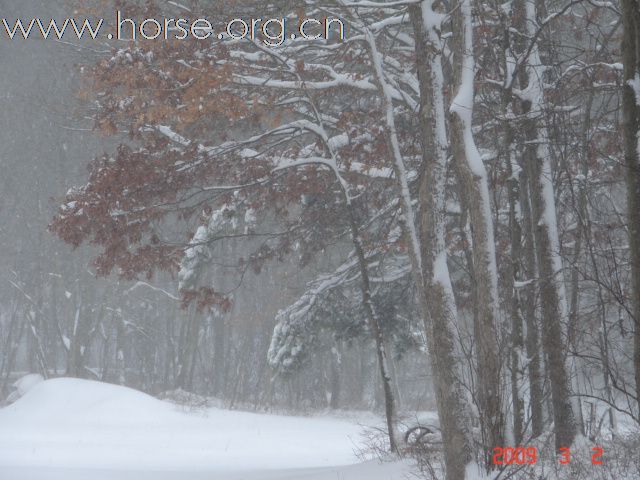 踏雪马蹄轻