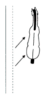 [转帖]國際馬聯馬場馬術規則﹝12﹞馬術動作標準─側方運動