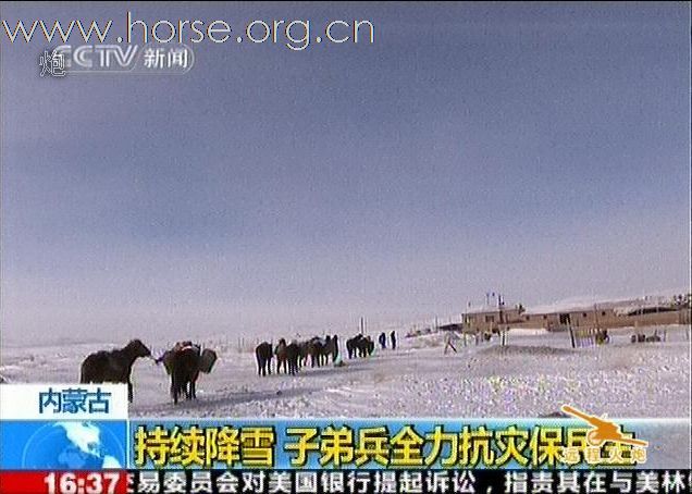 内蒙古某骑兵营全力救援被大雪围困的牧民