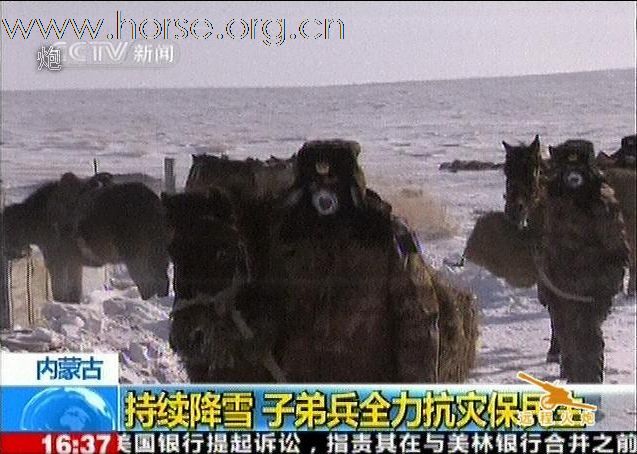 内蒙古某骑兵营全力救援被大雪围困的牧民