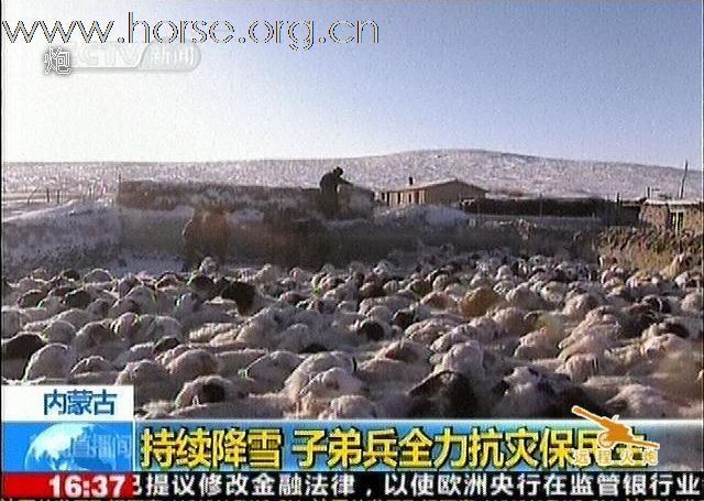 内蒙古某骑兵营全力救援被大雪围困的牧民