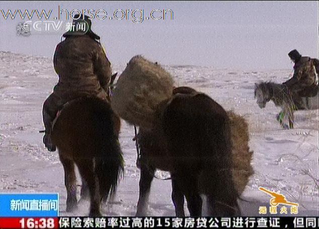 内蒙古某骑兵营全力救援被大雪围困的牧民