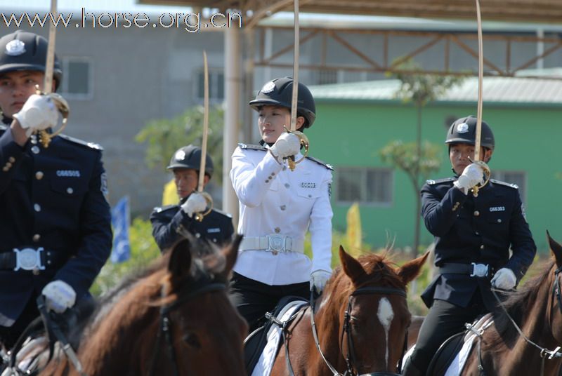 [贴图]骏马 美女 帅哥及马文化