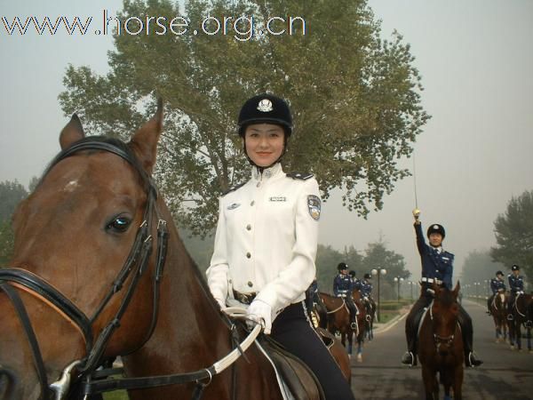 [贴图]骏马 美女 帅哥及马文化