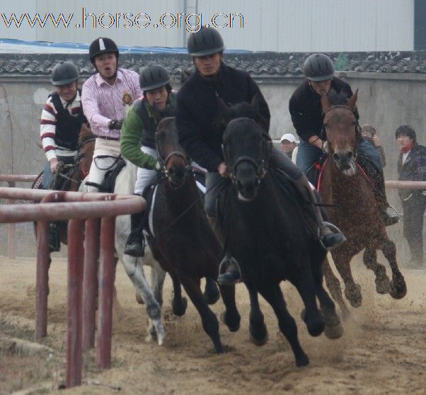 [贴图]发几张松声的照片比赛