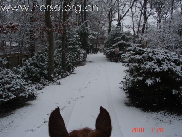 下雪，下雪，