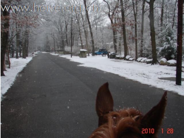 下雪，下雪，