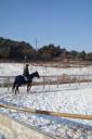 09年12月26日宇田马术俱乐部活动花絮