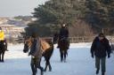 09年12月26日宇田马术俱乐部活动花絮