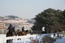 09年12月26日宇田马术俱乐部活动花絮