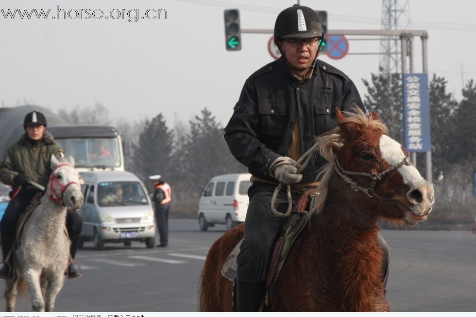 2010年元旦骑马活动纪实(续)