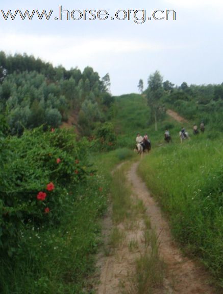 國慶野騎活動 2010