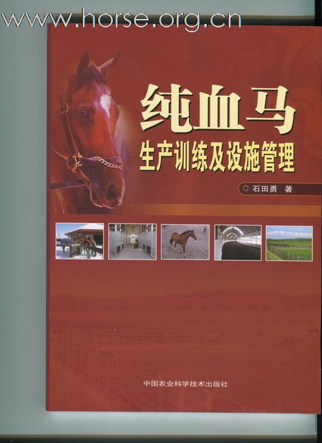 中国首部纯血马训练专著首发仪式26日举行，欢迎参加