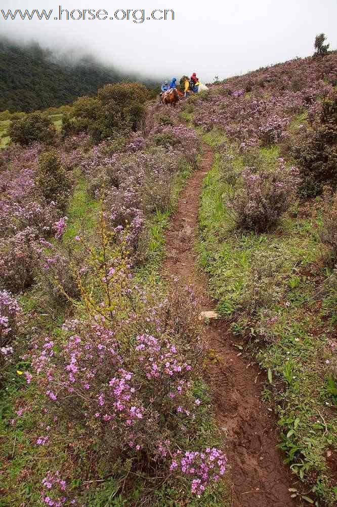 马背上的贡嘎山