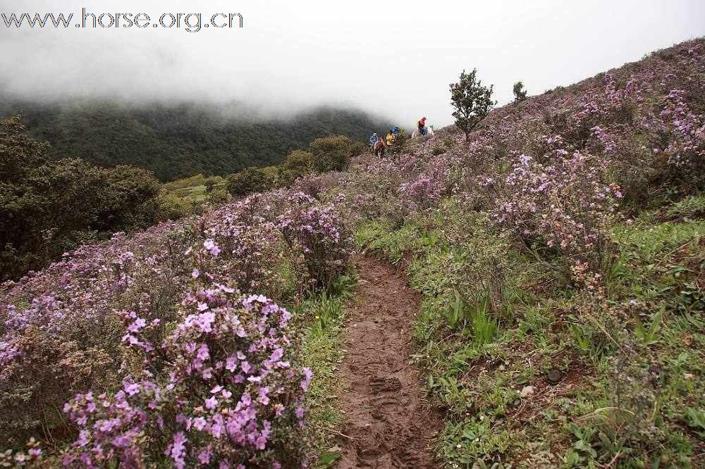 马背上的贡嘎山