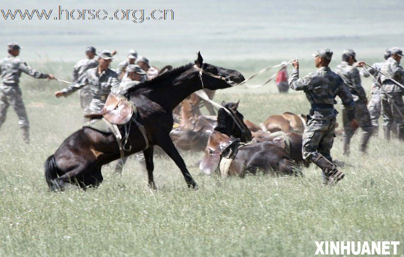 解放军骑兵乘马持03式行进间射击