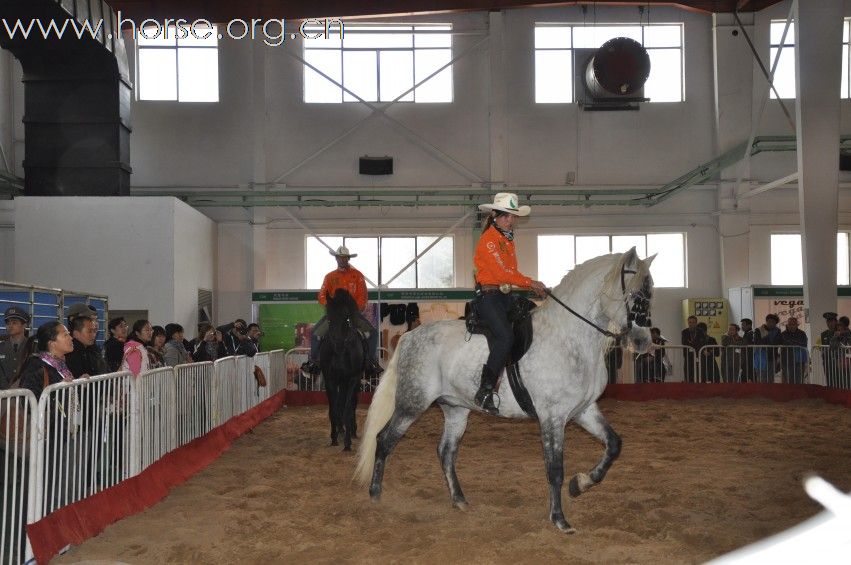 2010第四届中国国际马业马术展览会