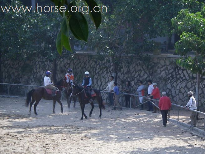 旁觀：粤港澳地区马友2010年10月31日育马山庄马友聚会