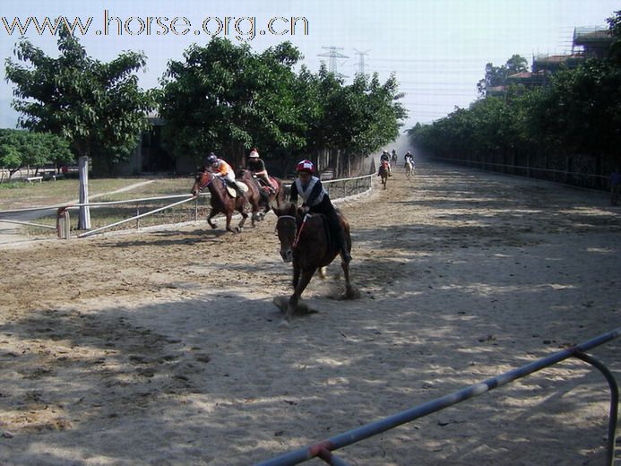 旁觀：粤港澳地区马友2010年10月31日育马山庄马友聚会