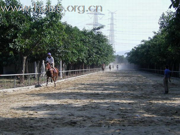 旁觀：粤港澳地区马友2010年10月31日育马山庄马友聚会