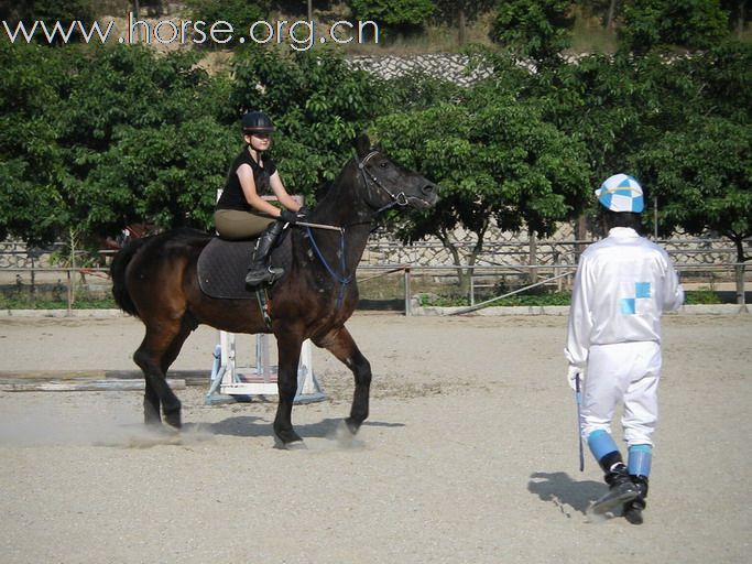 旁觀：粤港澳地区马友2010年10月31日育马山庄马友聚会