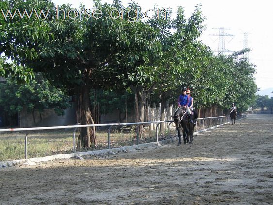 旁觀：粤港澳地区马友2010年10月31日育马山庄马友聚会