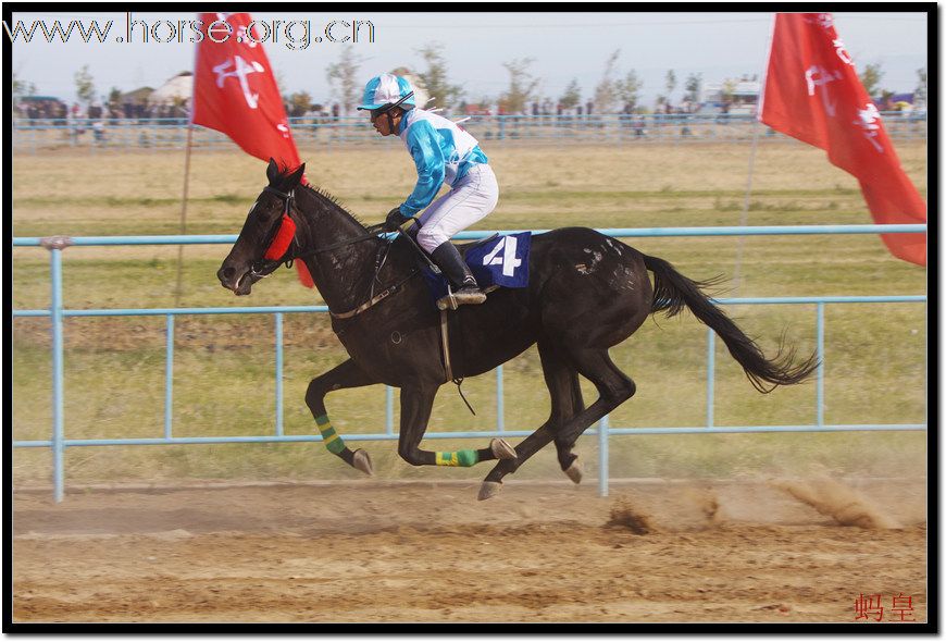 乌鲁木齐神木园马术俱乐部在木垒锦标赛场掠影