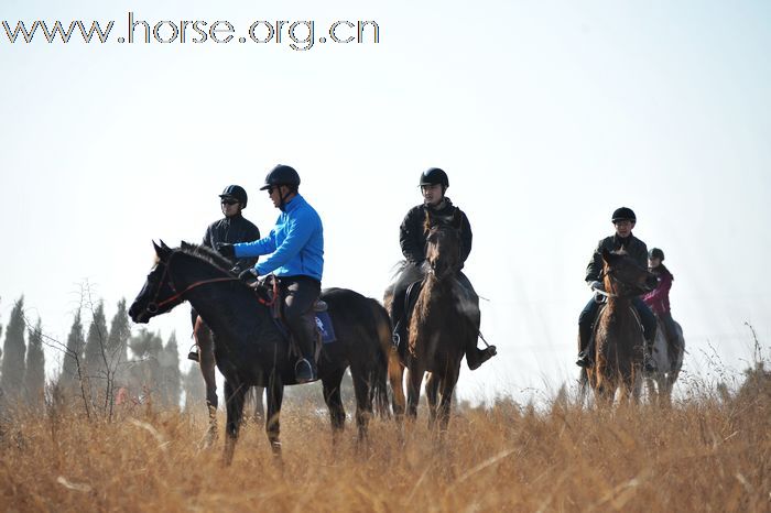 2010登程&#8226;骏马驰骋摄影比赛