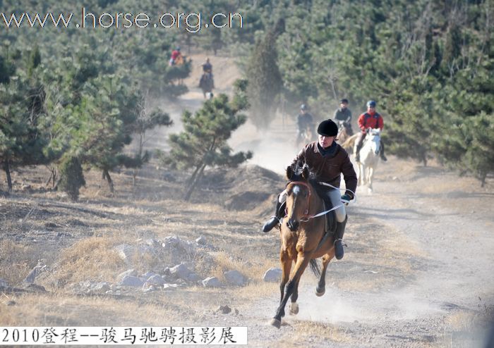 2010登程&#8226;骏马驰骋摄影比赛