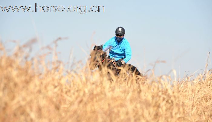 2010登程&#8226;骏马驰骋摄影比赛