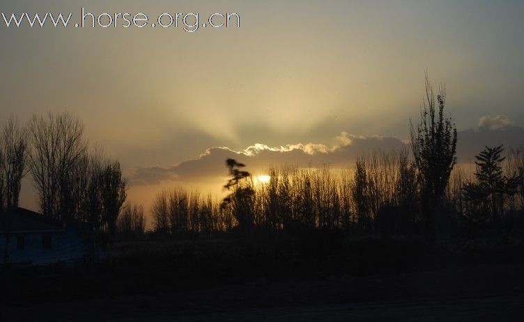 宁夏银川博塞马术俱乐部---学习日记