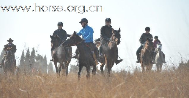 2010登程&#8226;骏马驰骋摄影比赛