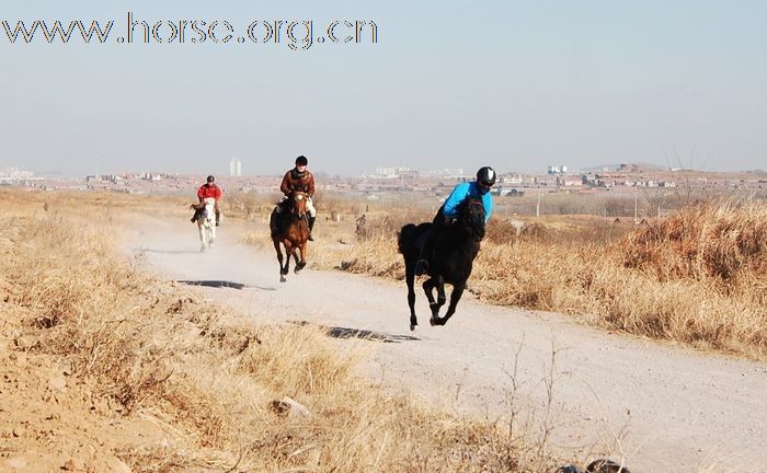 2010登程&#8226;骏马驰骋摄影比赛